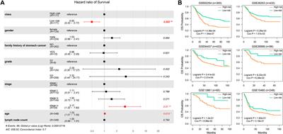 Analysis of DNA Repair-Related Prognostic Function and Mechanism in Gastric Cancer